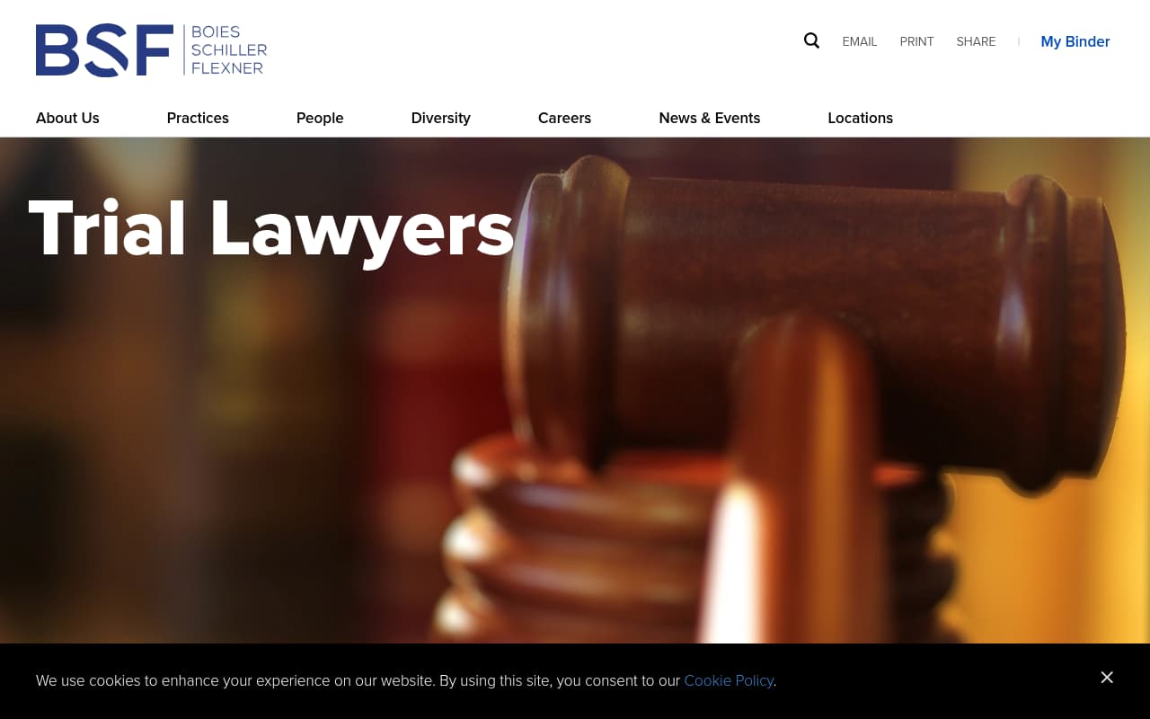 Boies Schiller Flexner website screenshot