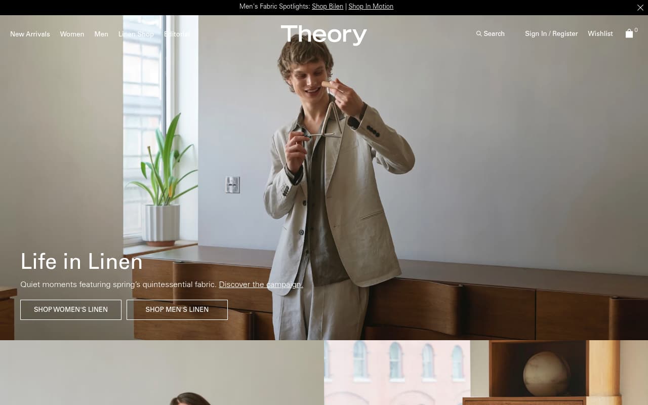 Theory website screenshot