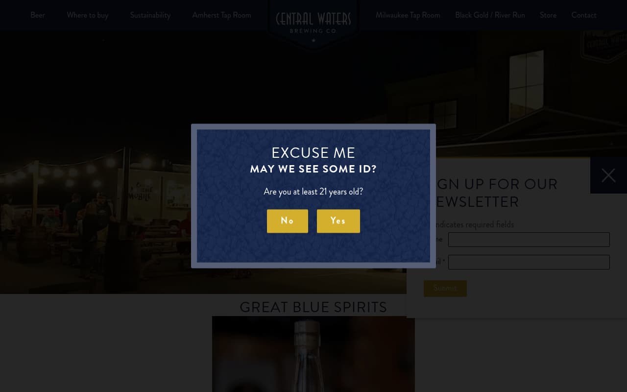 Central Waters Brewing website screenshot