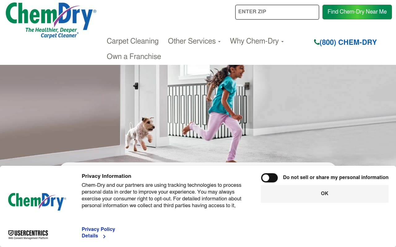 Chem-Dry website screenshot