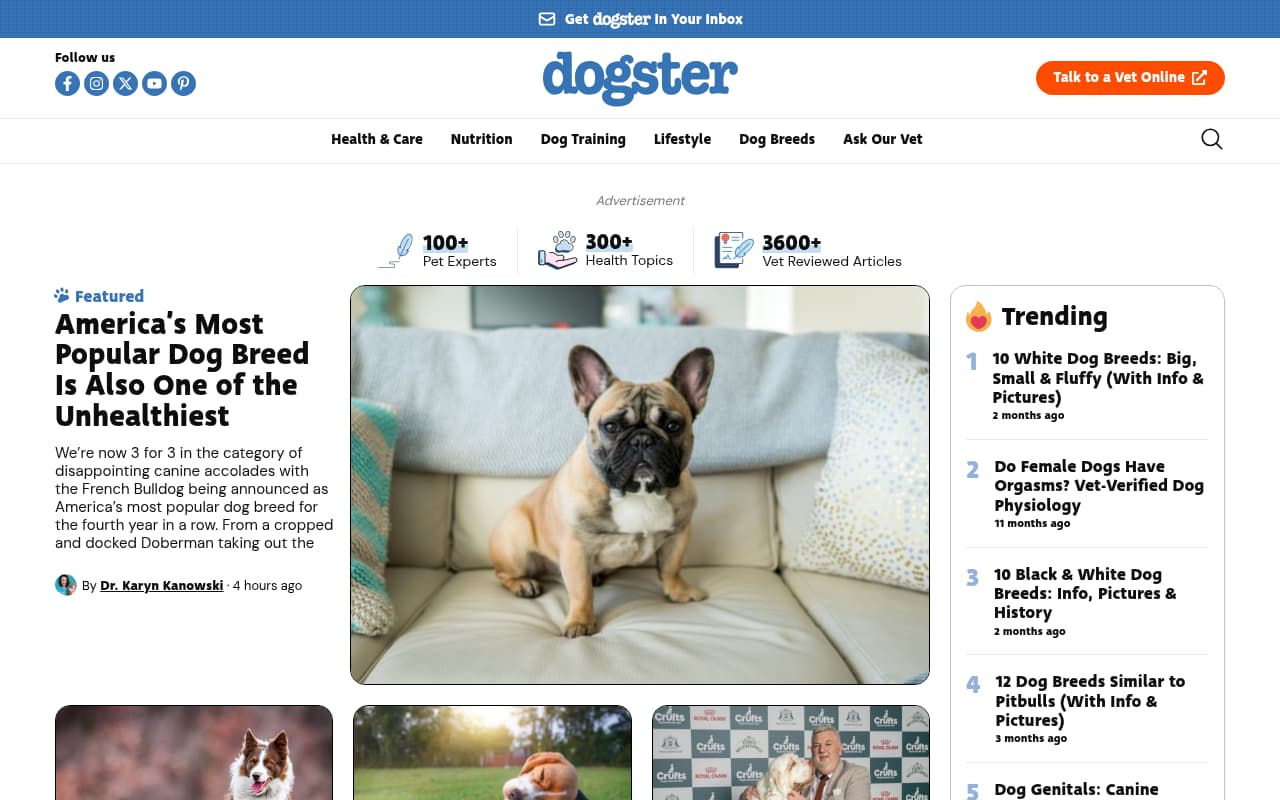 Dogster website screenshot