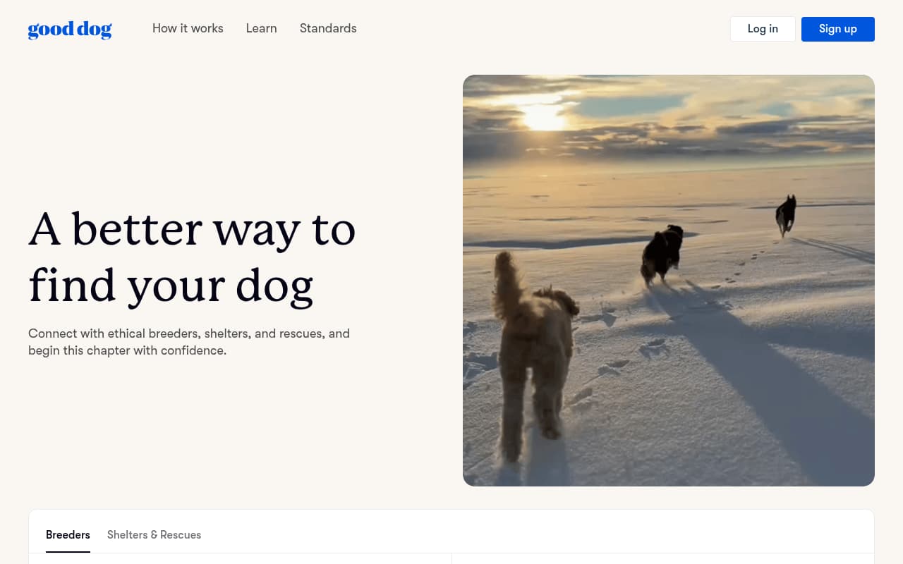 Good Dog website screenshot
