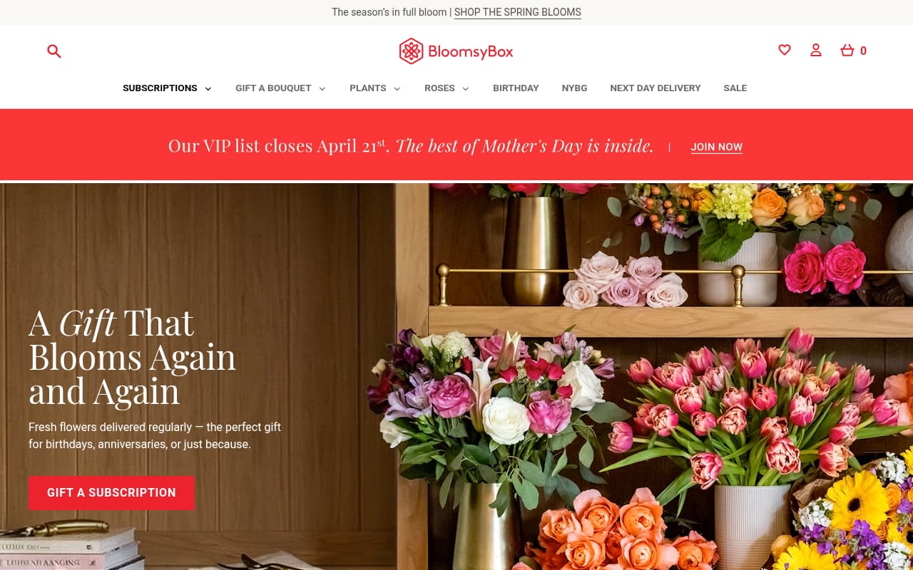 BloomsyBox website screenshot
