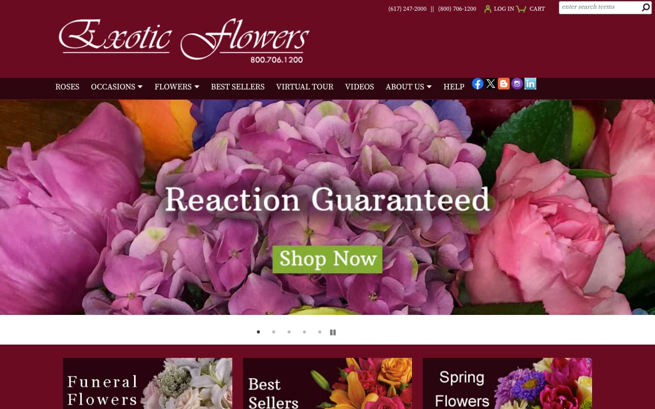 Exotic Flowers website screenshot