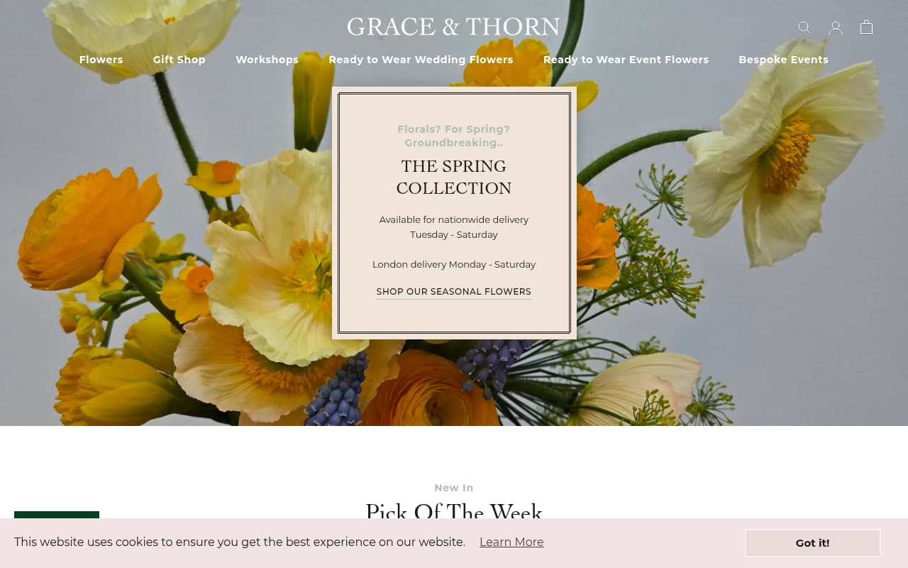 Grace & Thorn website screenshot