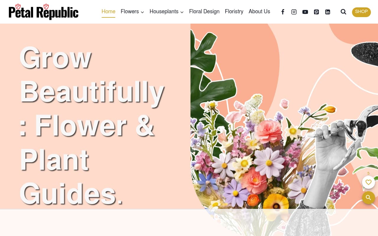 Petal Republic website screenshot