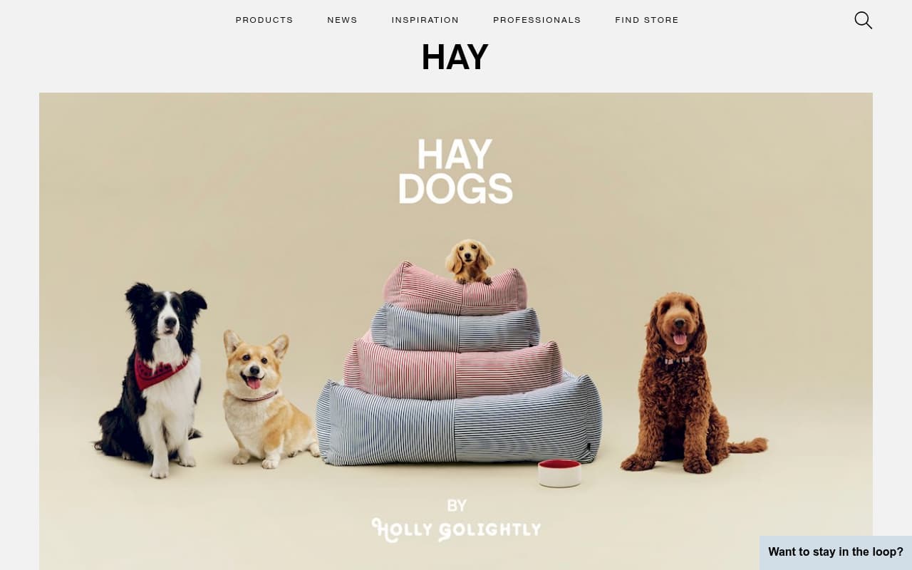 HAY website screenshot