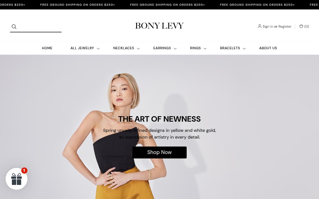 Bony Levy website screenshot