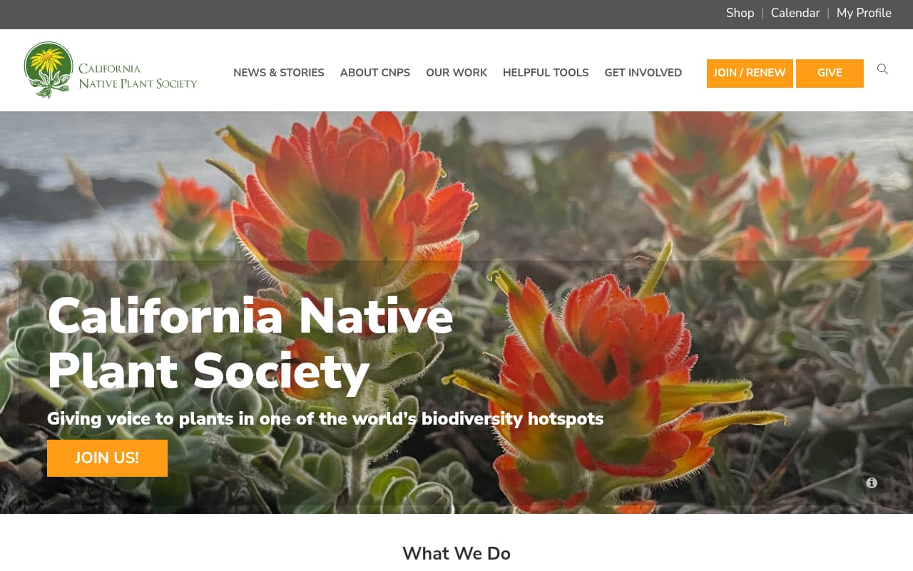 The Native Plant Society website screenshot