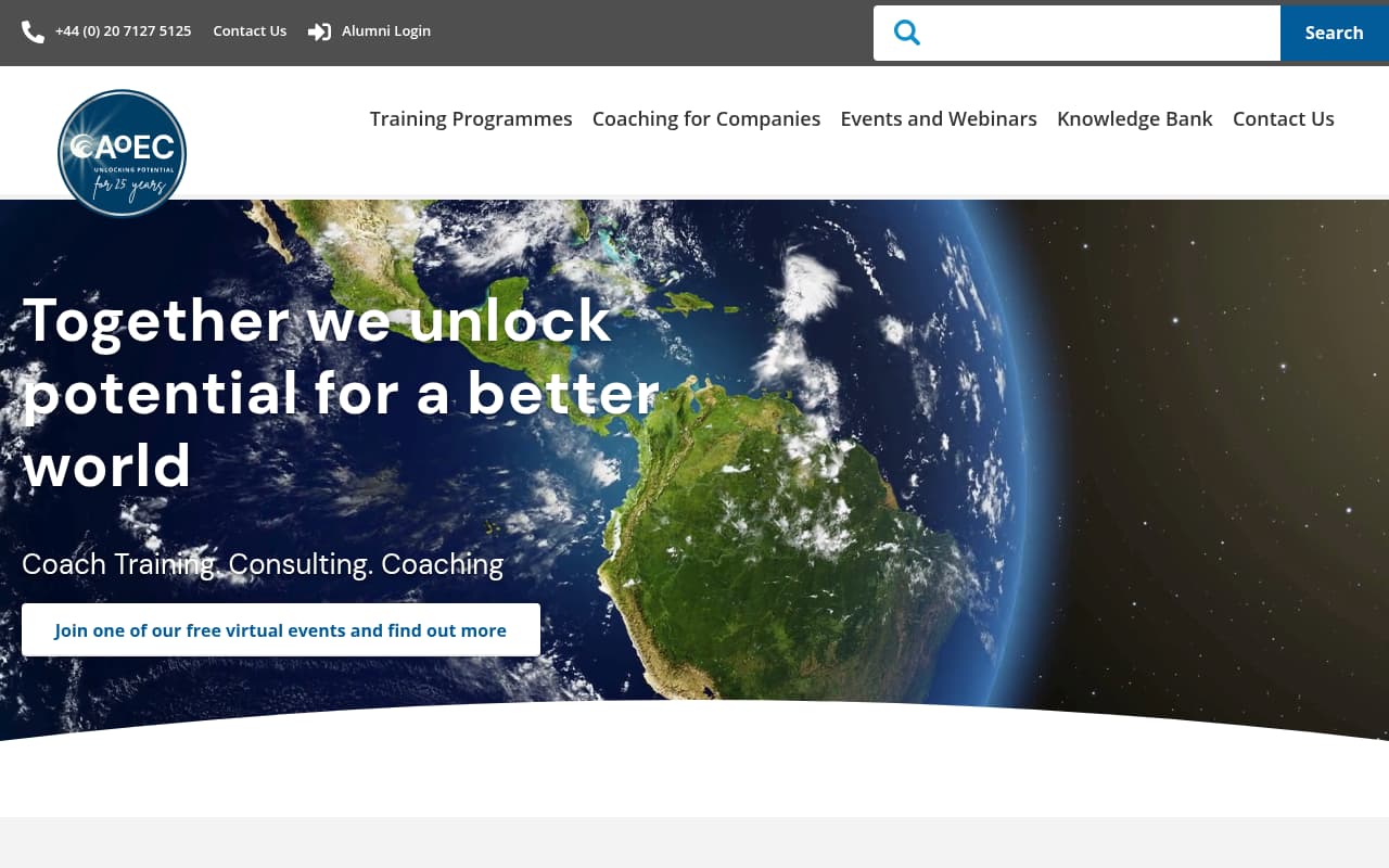 Academy of Executive Coaching website screenshot