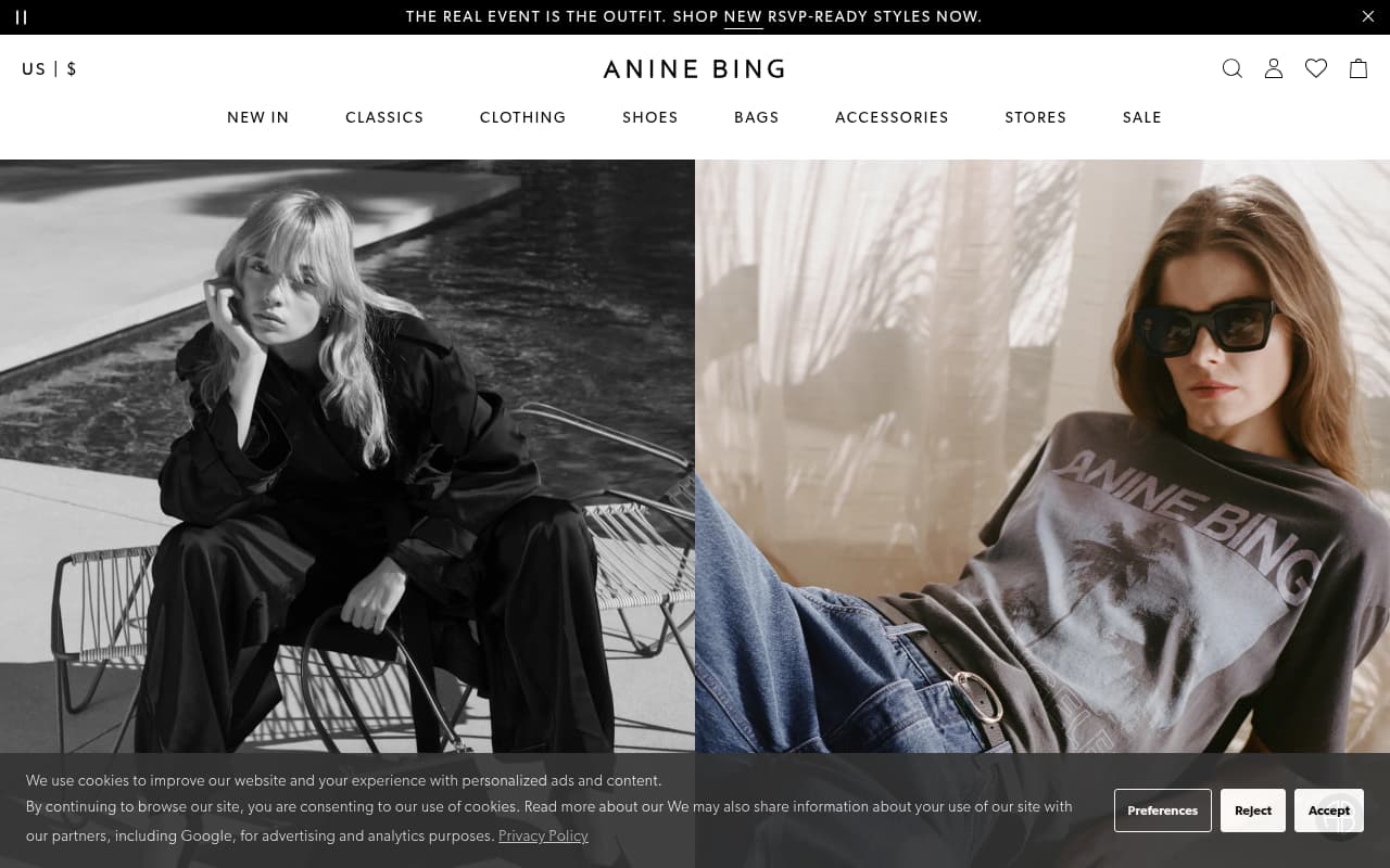 Anine Bing website screenshot