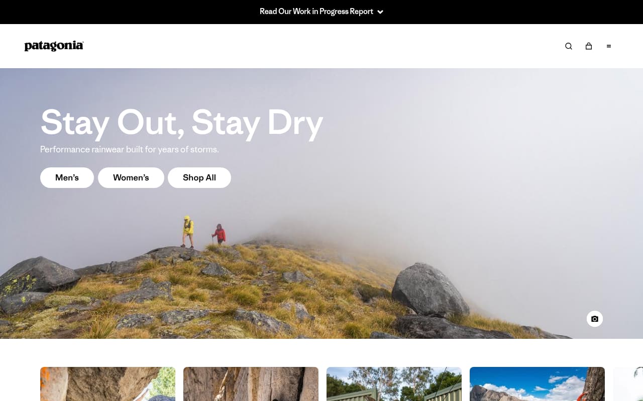 Patagonia website screenshot