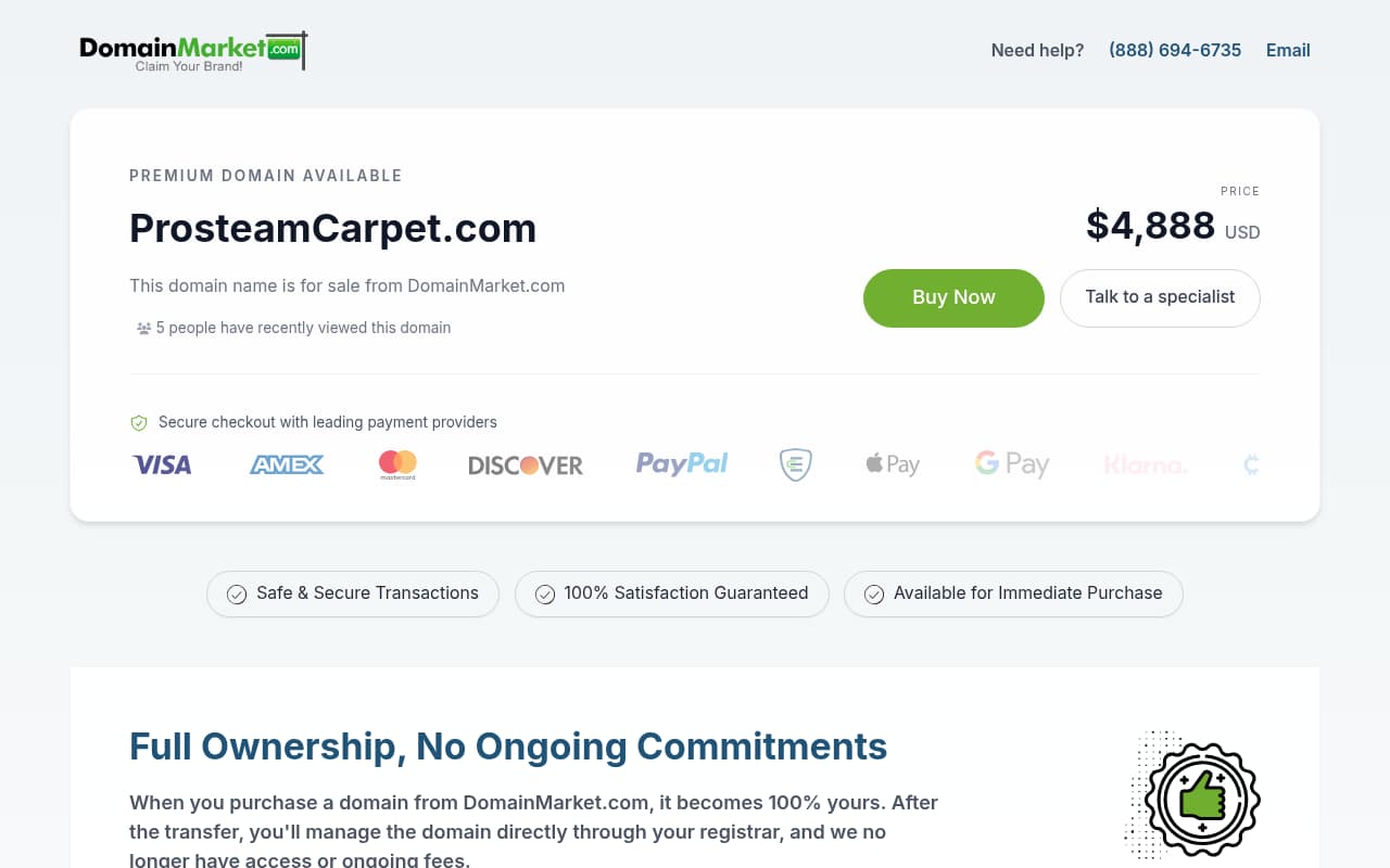 Pro Steam Carpet Cleaning website screenshot