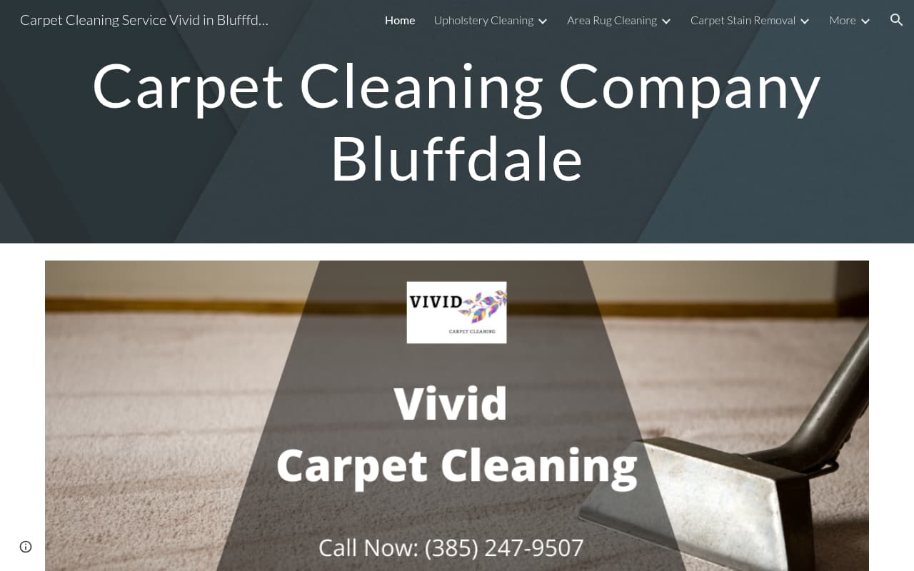 Vivid Carpet Cleaning website screenshot