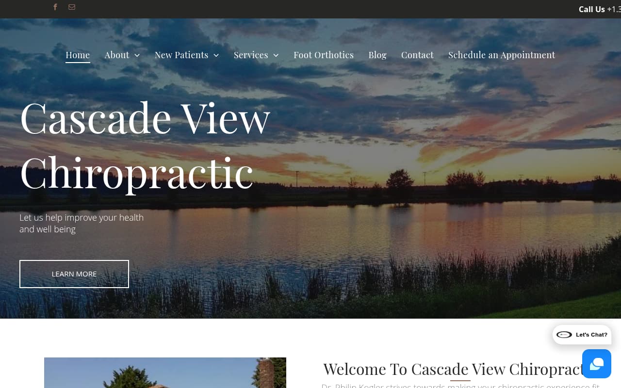 Discover Chiropractic website screenshot