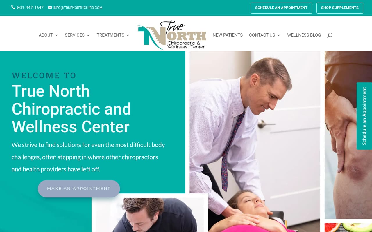 True North Chiropractic website screenshot