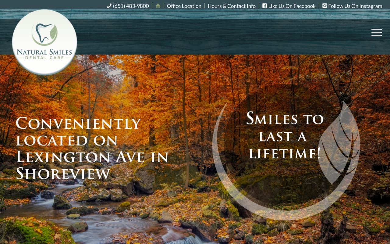 Natural Smiles Holistic Dental website screenshot