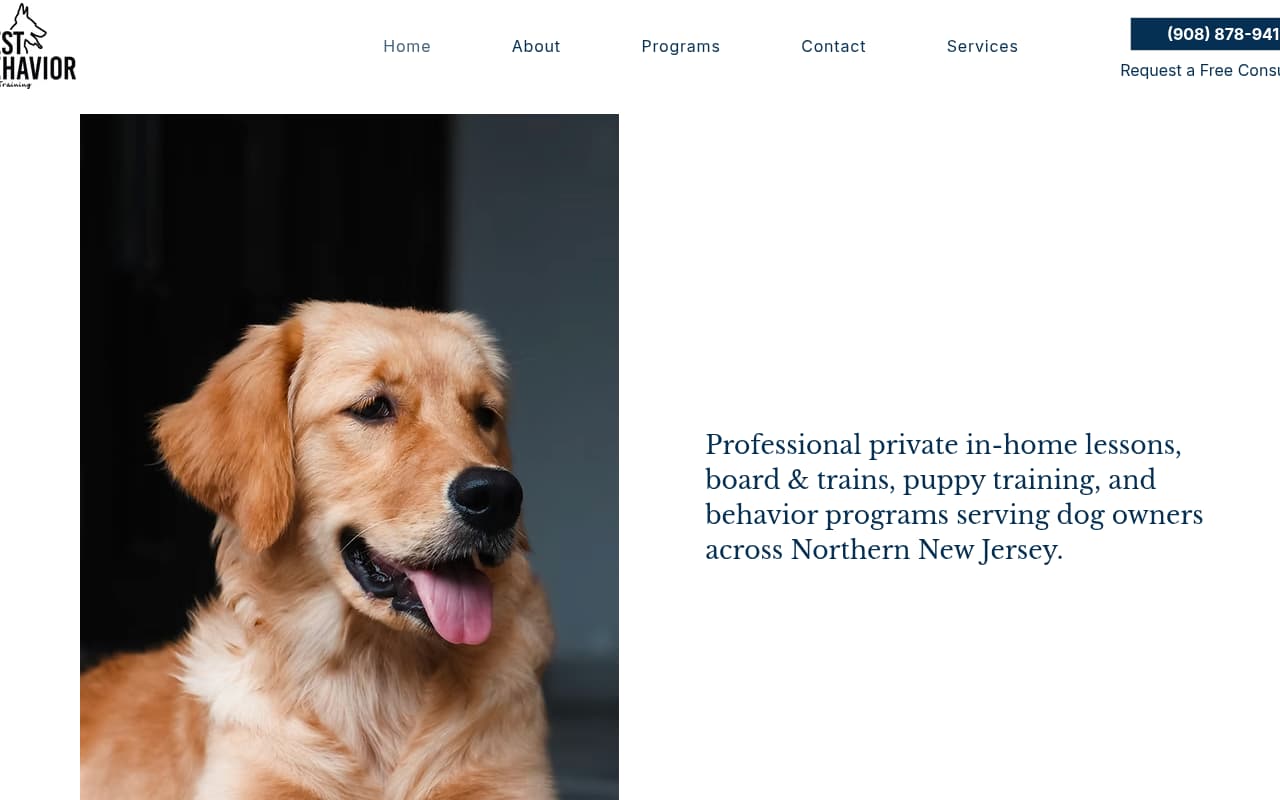 Best Behavior Dog Training website screenshot