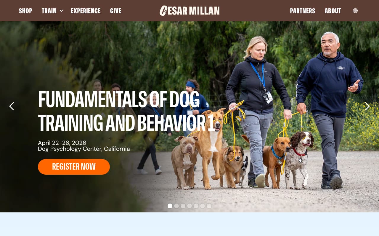Training Cesar Millan website screenshot