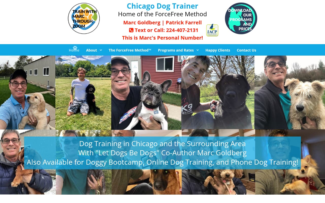 Chicago Dog Trainer website screenshot