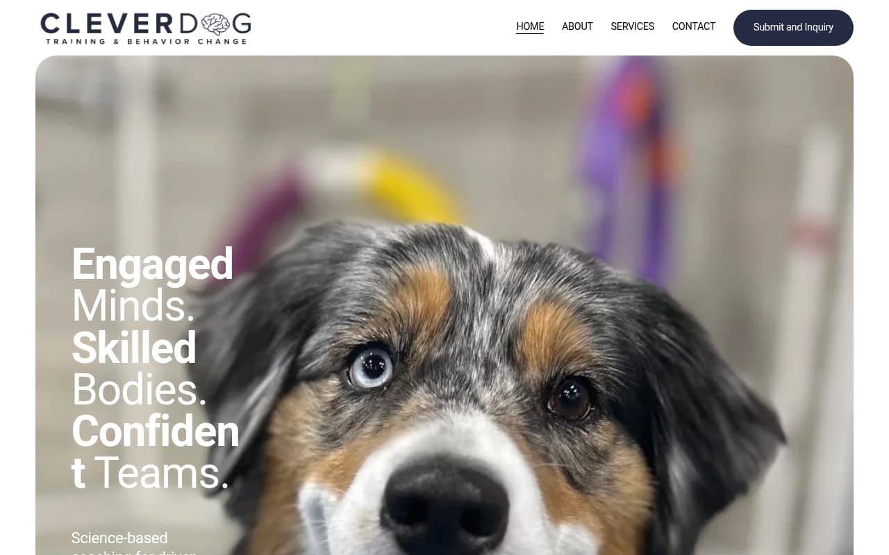 Clever Dog Training website screenshot