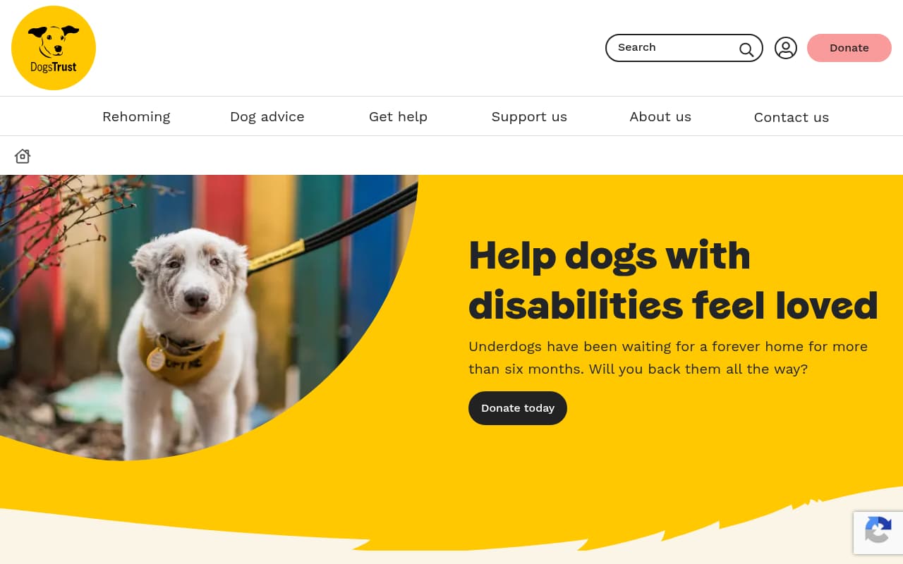 Dogs Trust website screenshot