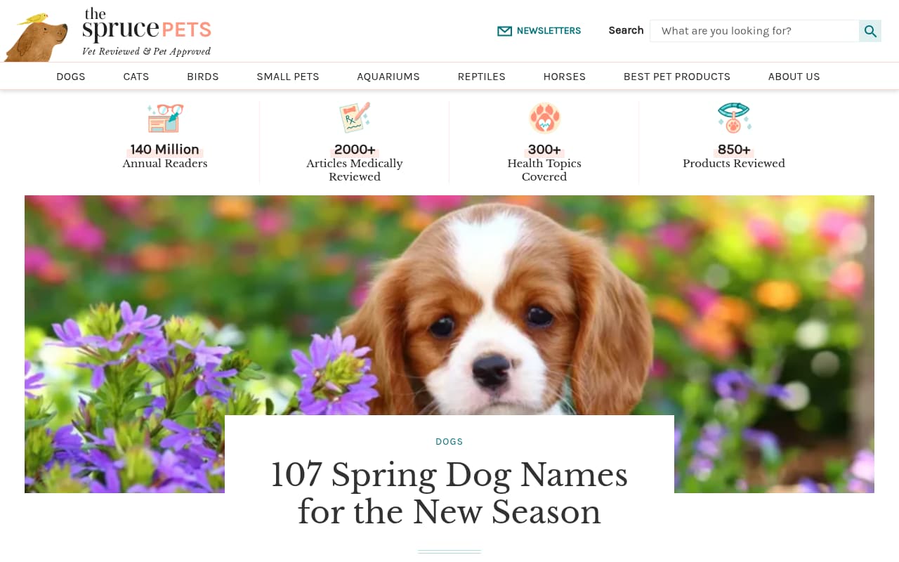 The Spruce Pets website screenshot