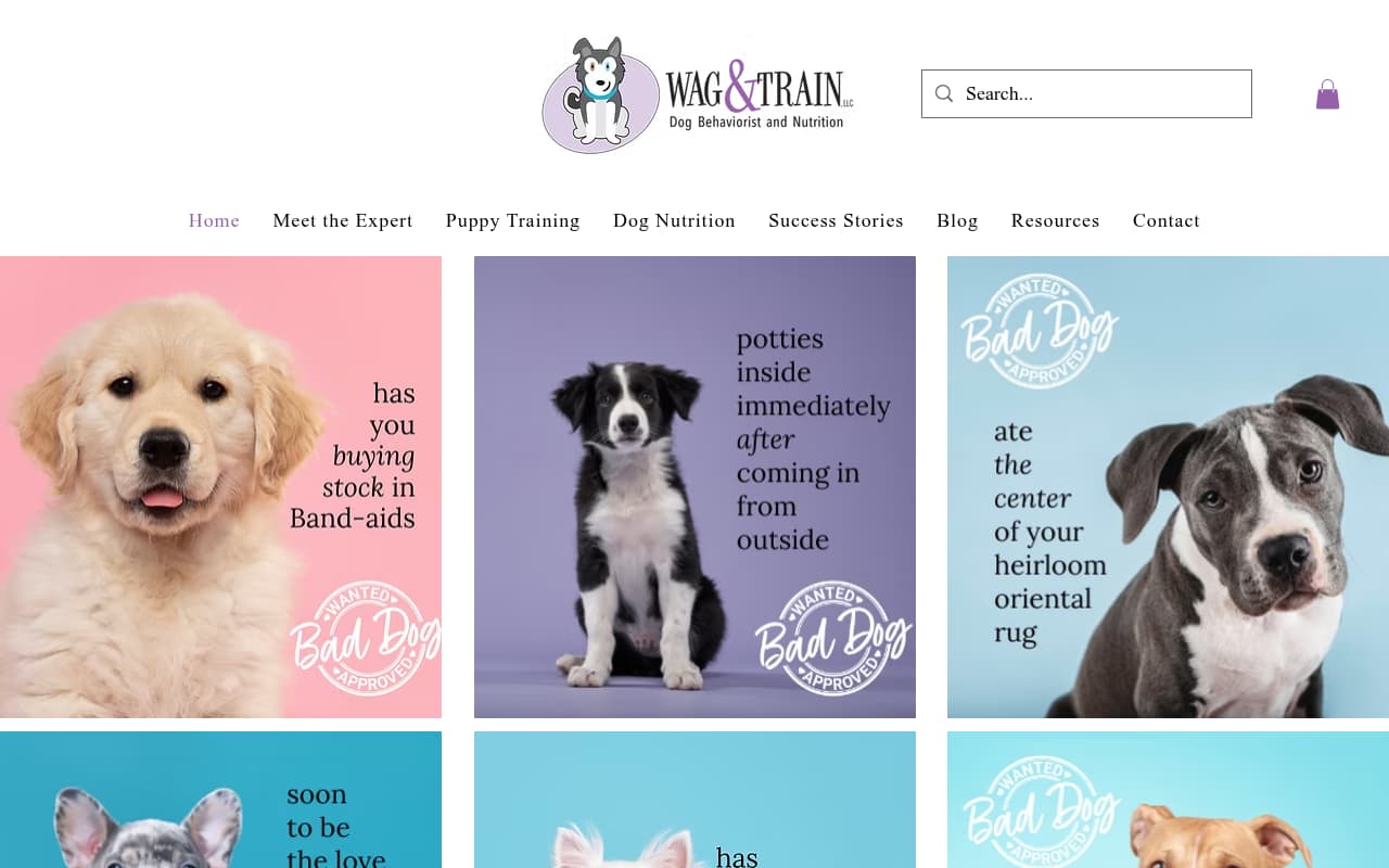 Wag & Train website screenshot
