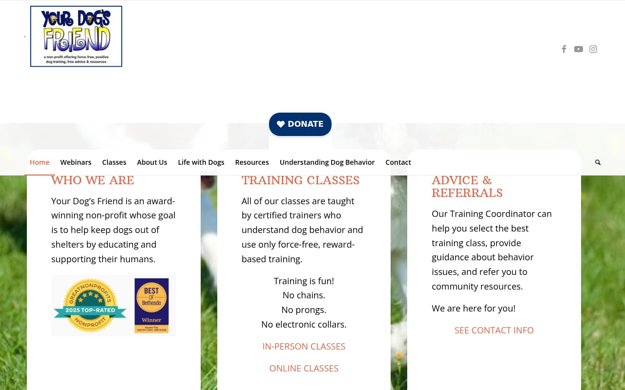 Your Dog's Friend website screenshot